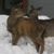 Kirsten Whitworth's profile image