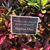 Debby McCord Thornton's profile image