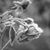Mary Perkins Negrete's profile image