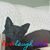 Roger Geller's profile image