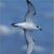 Mary Pietrzak Archer's profile image