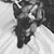 BriannaBrandon Dillingham's profile image