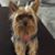 Lorry Higgins's profile image