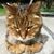 Tina Leet's profile image
