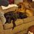 Carrie Wiser's profile image