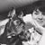 Christine Calkins's profile image