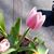 Kelley Bridgman Sharber's profile image