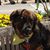 Paula Schneider Huot's profile image