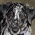 Raine Drop's profile image