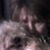 Lynn Partlow Williams's profile image