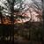 Joy Stapleton Wadley's profile image