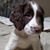 Ken Hassell's profile image