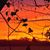 Ruth C. Browning's profile image