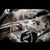 Austin Talley's profile image