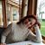 İrem Türksoy Ulusan's profile image