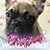 Kate Brooks's profile image