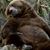 Gregory Davis's profile image