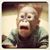 Shaun Earls's profile image
