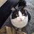 Liz Huffman's profile image