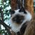 Vivian Melton's profile image