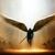 Piotrek Pietran's profile image