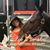 Gigi Marz's profile image
