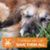 Donna Deka's profile image