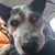 Christina N Roger Meserve's profile image