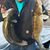 Gerry Helmick's profile image