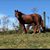 Michelle Marie McFarland's profile image