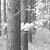 Raymond Allen Bennett's profile image