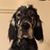 Jennifer Radonis's profile image