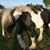 Marsha Knapp's profile image