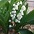 Lisa Kidwell Rock's profile image