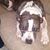 Maggie Ebert's profile image