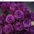 Sherri Padgett Santmyer's profile image