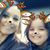 Michelle McCrary's profile image