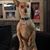 Linda Hodapp's profile image