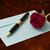 Susan Shumway Ridenour's profile image