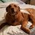 Nancy Maceroni's profile image