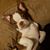 Barbara Little Sadler's profile image