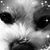 Melissa Tanem Burkholder's profile image
