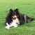 Patti Brock's profile image