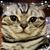 Cornelia Cor's profile image
