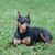 Jonathan Sholar's profile image