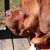 Jennifer Kempker's profile image