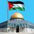 Mohammad Awadi's profile image
