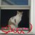 Heather Killian-Chvala's profile image
