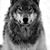 Michelle Nelbach's profile image