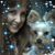 Debby Melrose's profile image